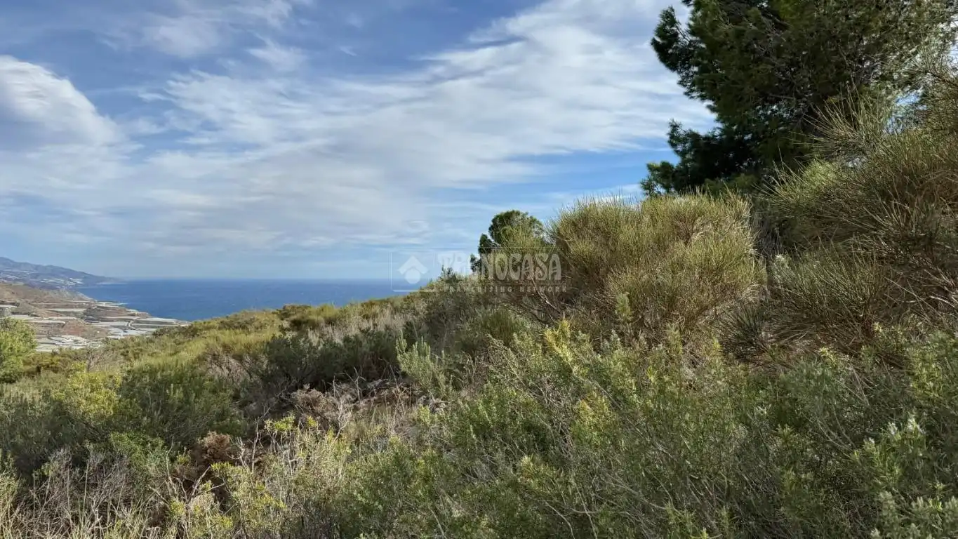 Terreno en venta en Gualchos