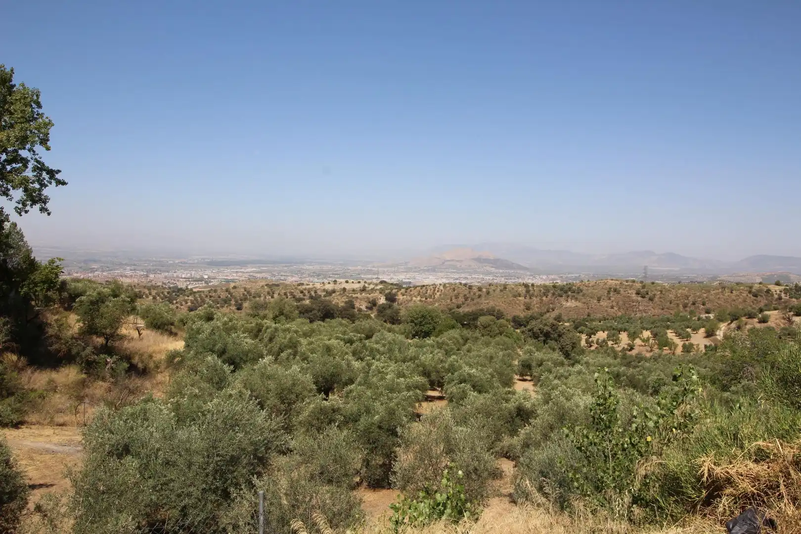 Wohnbaugrundstück zum Verkauf in Albaicín, imagen 20