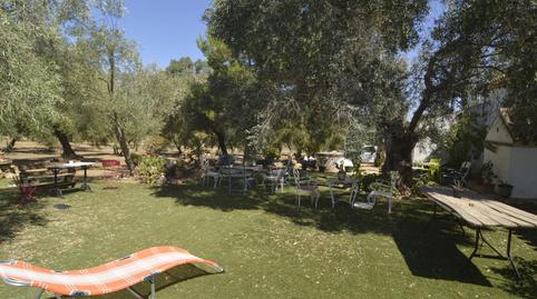 Foto 3 de Finca rústica en venta en Marchena, Sevilla