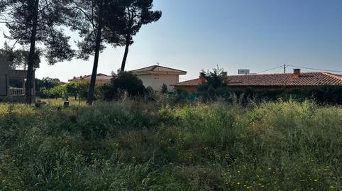 Photo 5 of Residential for sale in Calle Bruc el, El Bruc, Barcelona