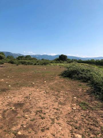 Terreno en Venta en Entrena