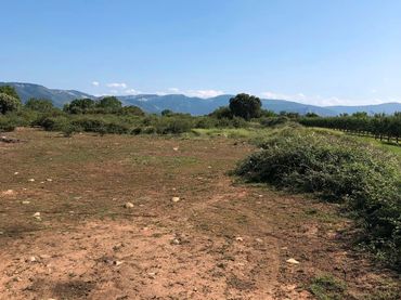 Terreno rustico in vendita a Entrena