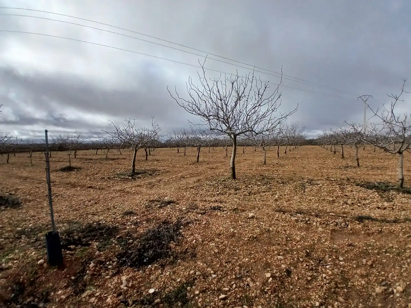 Rural land for sale in Carretera Solana, imagen 22
