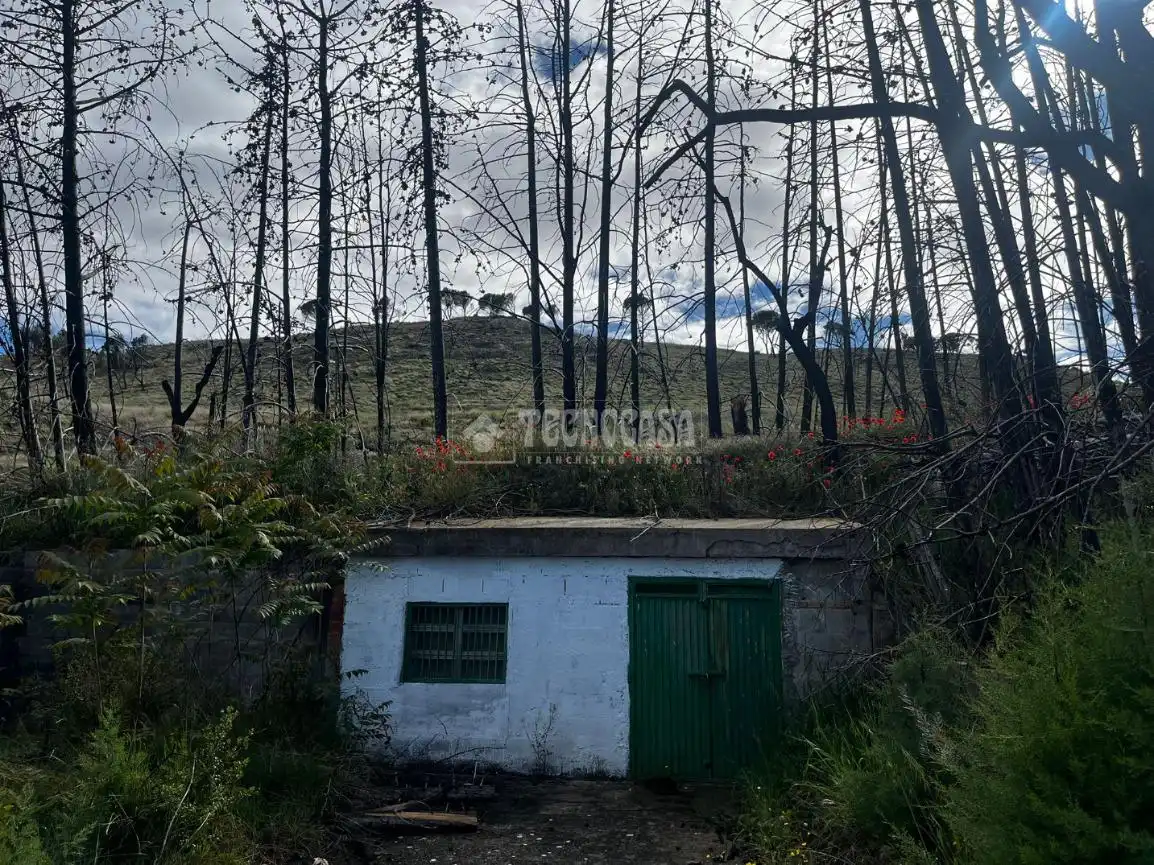 Land for sale in Borja