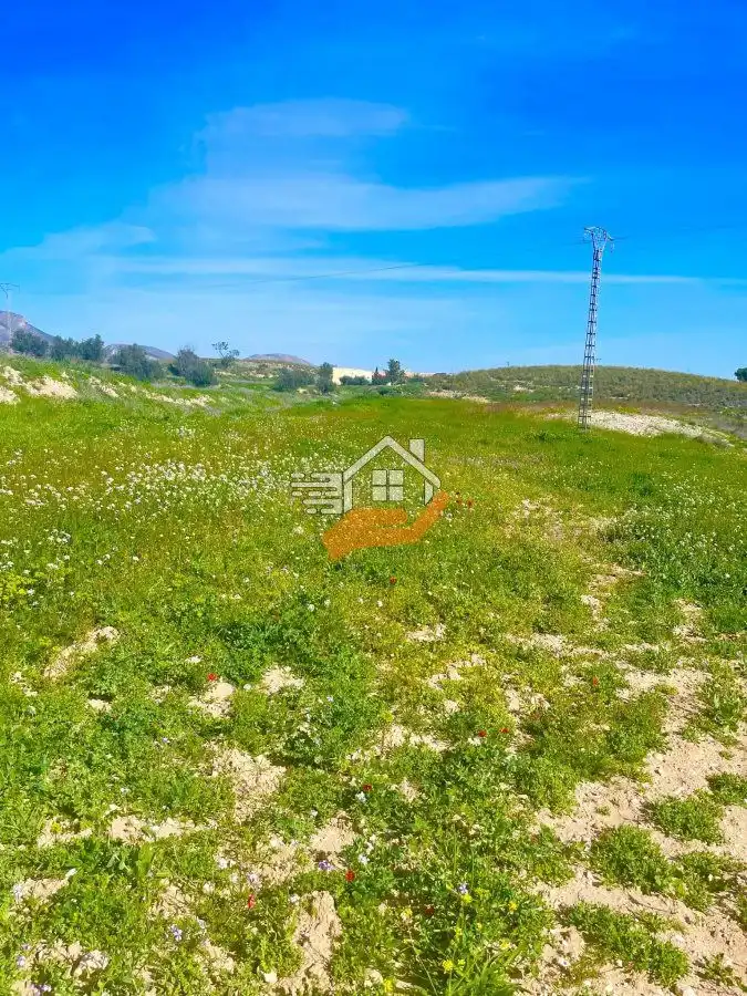 Lands and plots for sale in Pedanías Norte, imagen 20