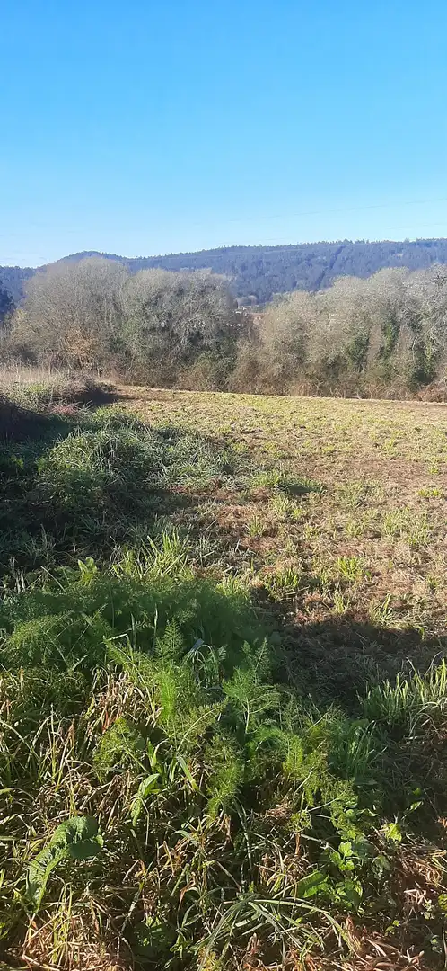 Terreno rústico en venta en Aldea Ventosa 19