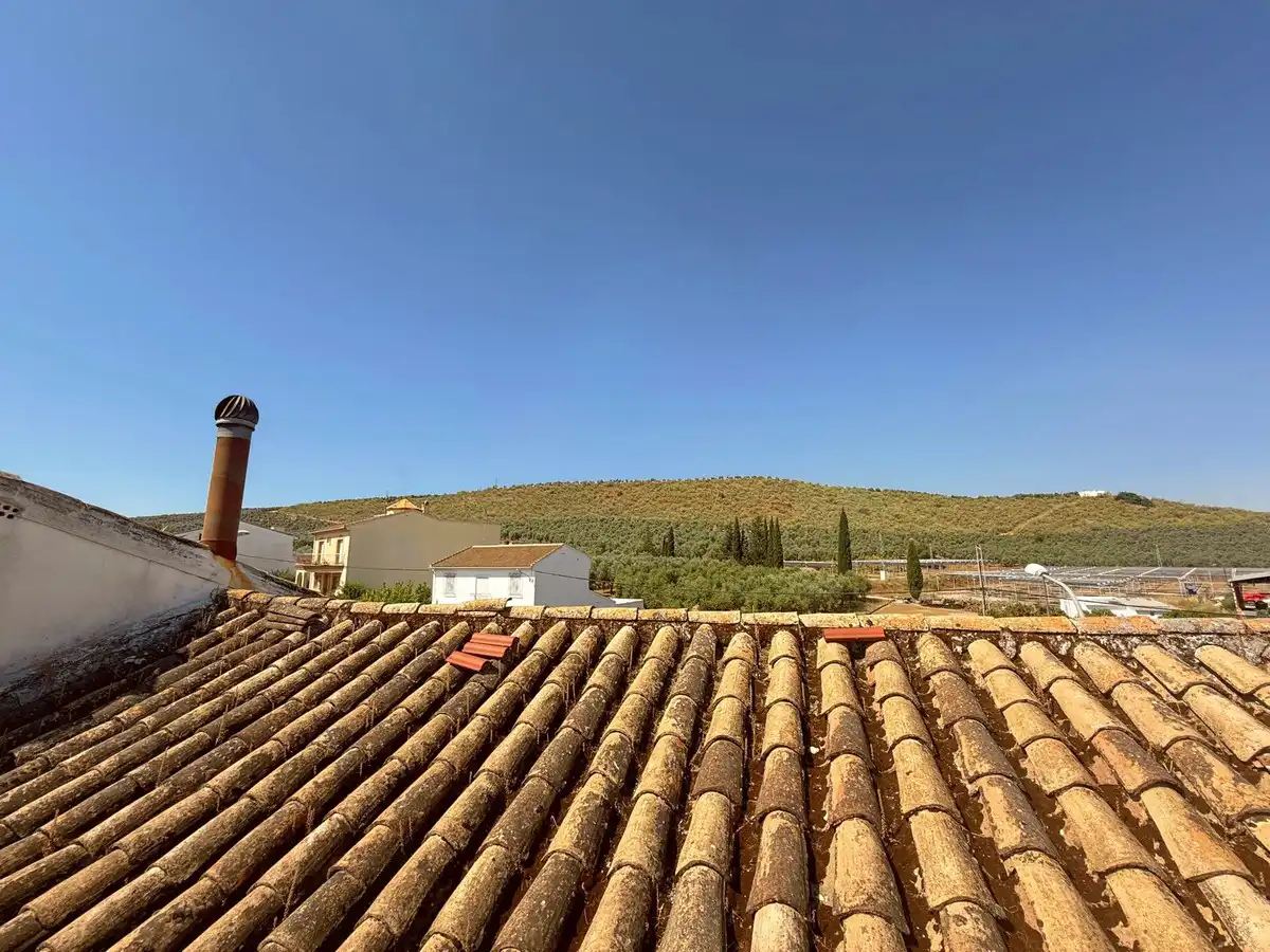 Vista exterior de Casa adosada en venta en Benamejí con Jardín privado, Terraza y Trastero