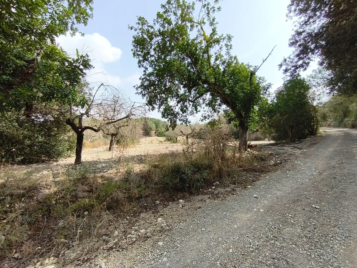 Terreno rustico in vendita a Sant Joan, imagen 8