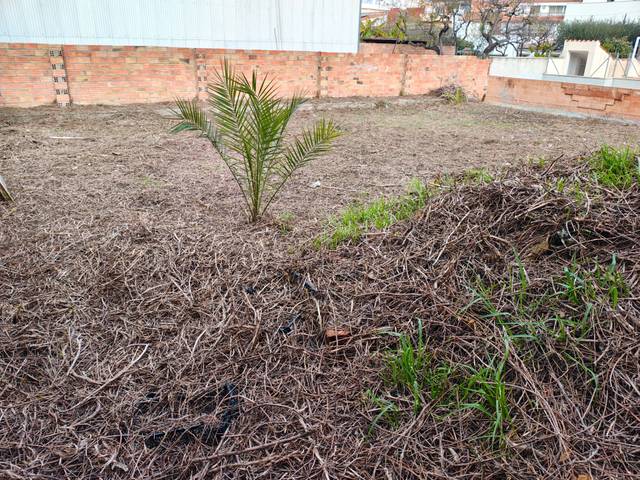 Terreno en Alquiler en Les Roquetes