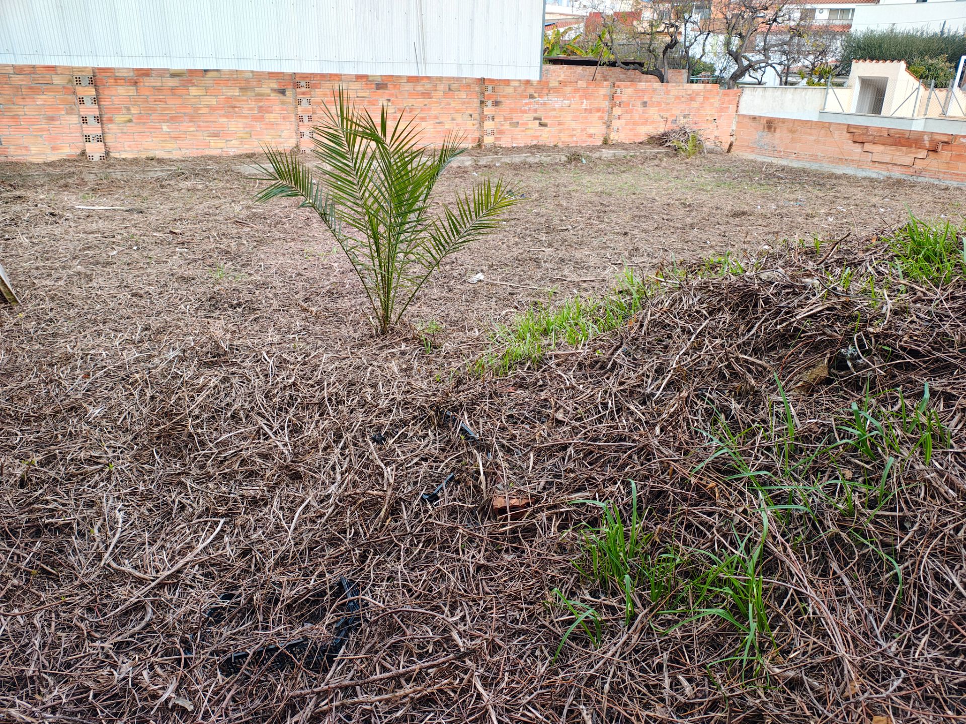 Land to rent in Les Roquetes