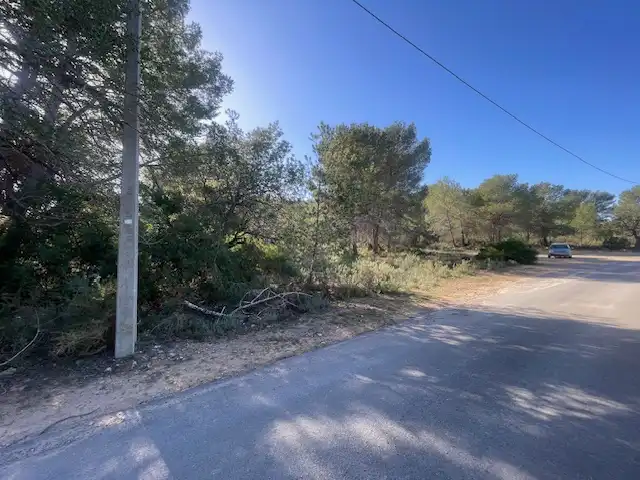 Rural land for sale in Albalat dels Tarongers, imagen 5