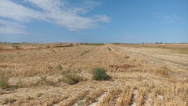Terreno en Venta en Casarrubios del Monte pueblo