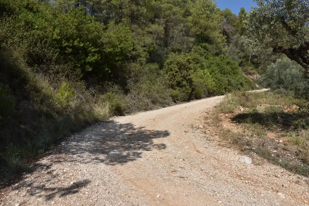 Rural land for sale in Mas de la Riba 1, imagen 14