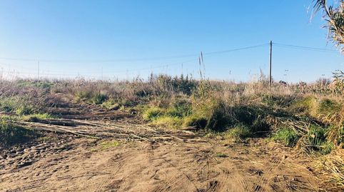 USO AGRÍCOLA A 1ª LÍNEA DE MAR, immagine 3