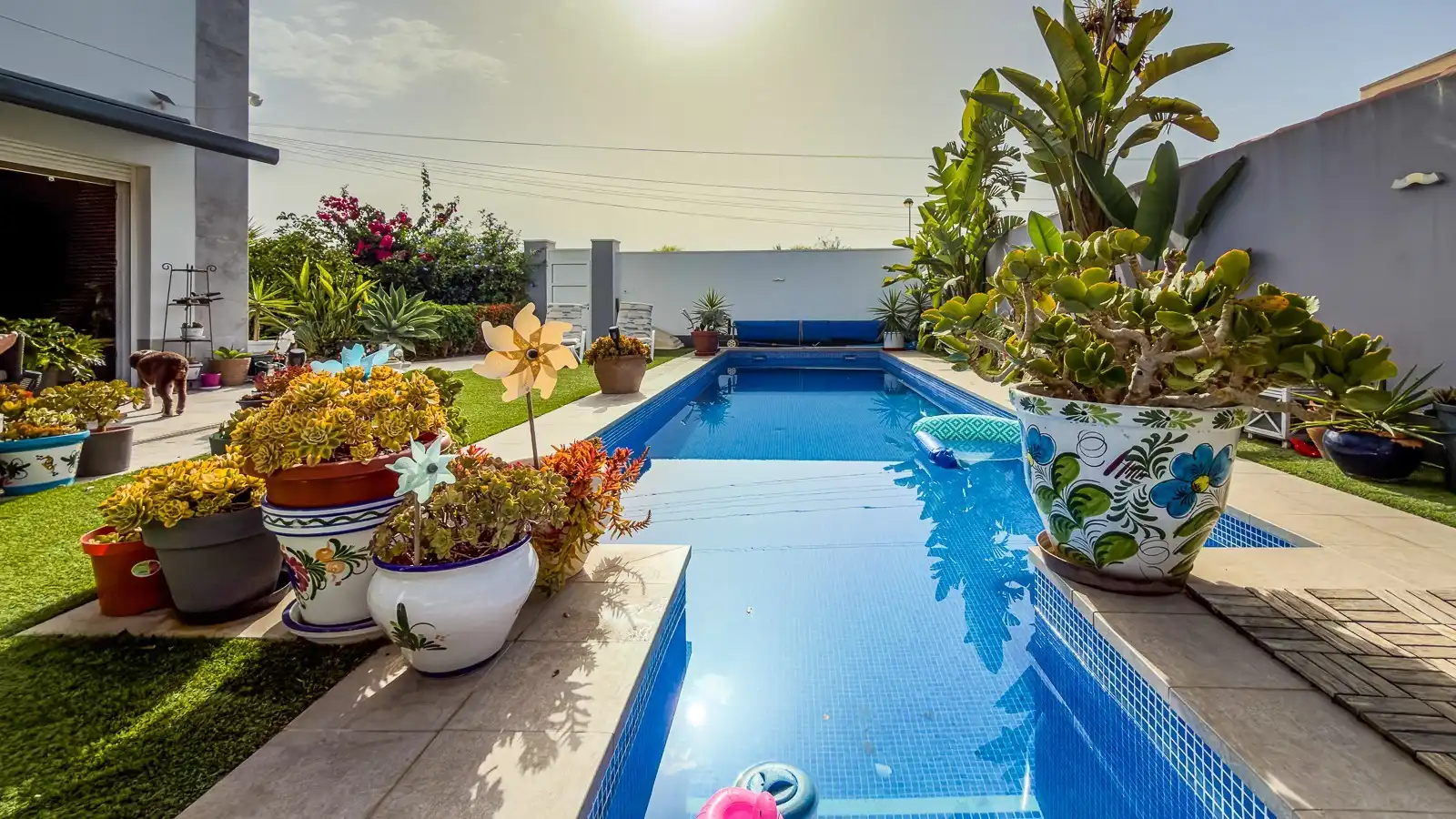 Piscina de Casa o xalet en venda en Torrevieja amb Jardí privat, Terrassa i Traster