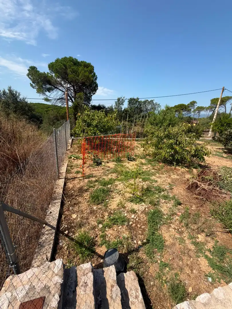 Villa avec jardin à vendre à Carrer Puigsacalm 19C, imagen 24
