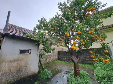 House with garden for sale in Moaña
