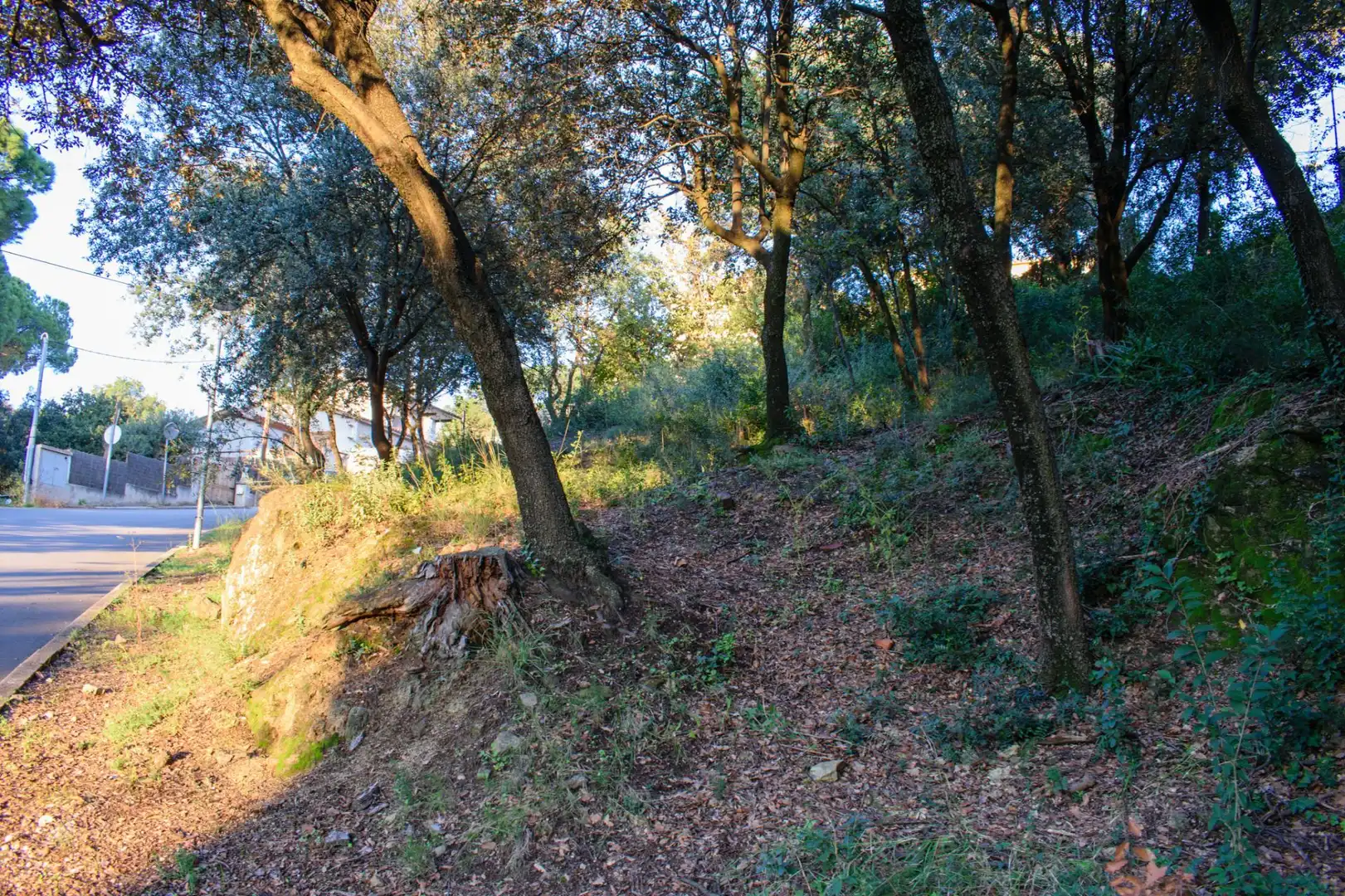 Lands and plots for sale in Bigues i Riells del Fai, imagen 10