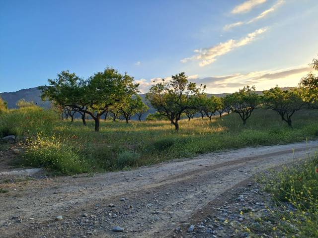Terreno en Venta en Rambla Flores en Bayarque