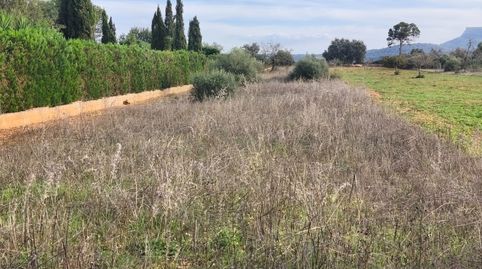 Finca con parte cerrada, immagine 4