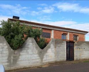 Exterior view of Building for sale in Turís