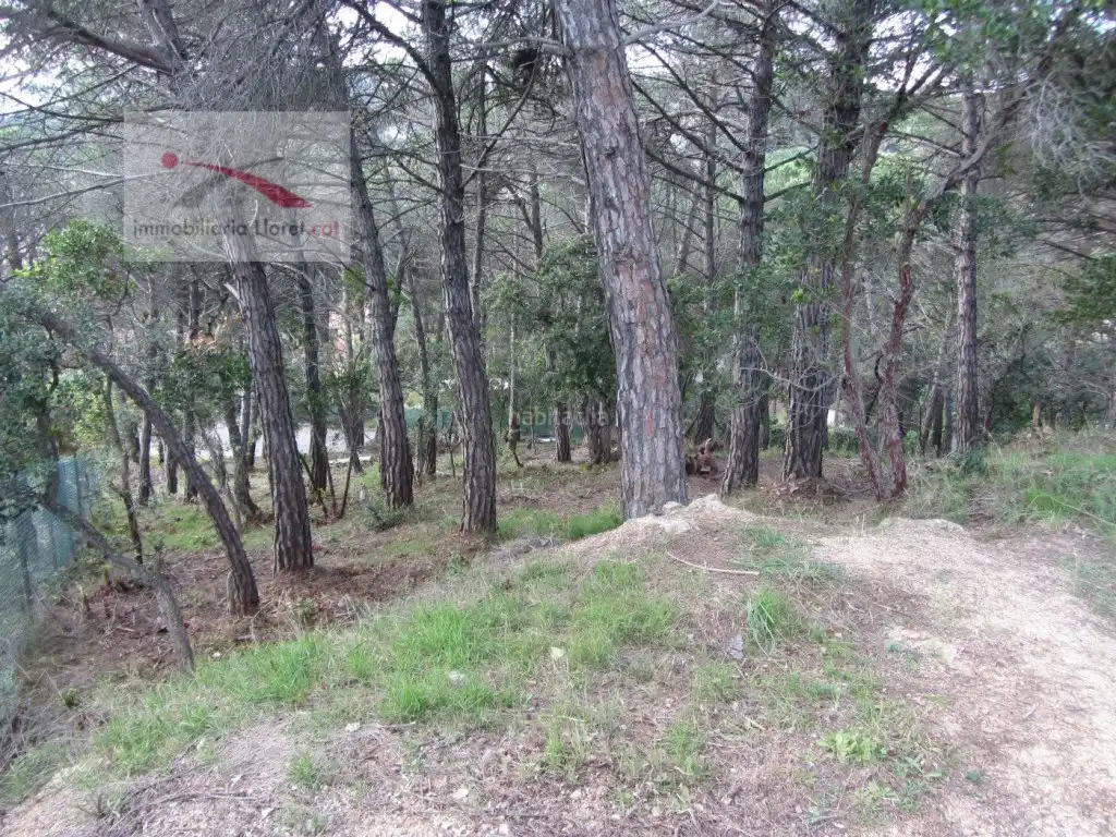 Residential land for sale in Llagostera, imagen 9