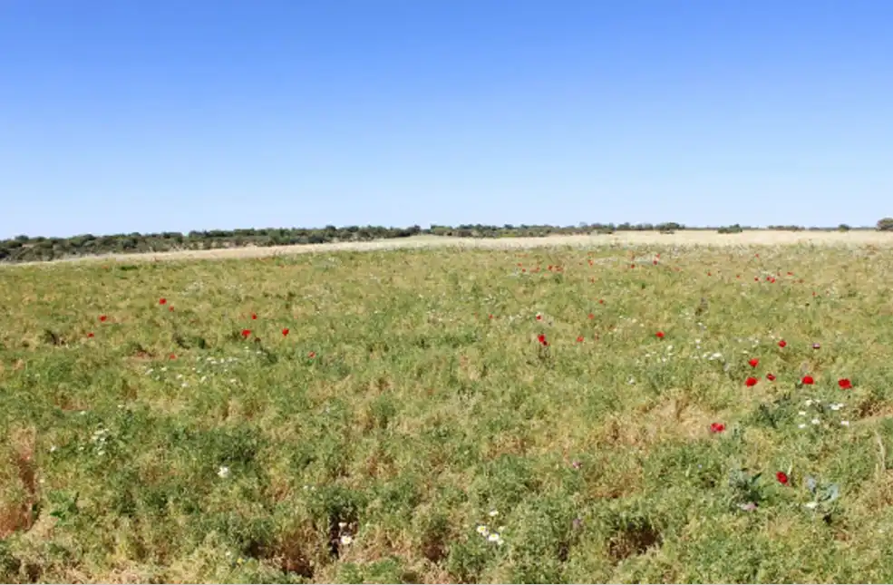 Terreno en venta en Valfermoso de Tajuña