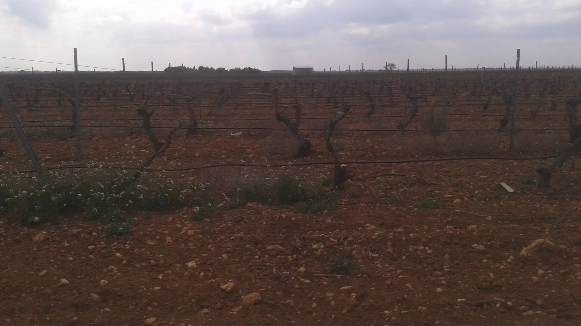 Terrenys i solars en venda a Las Mesas, imagen 2