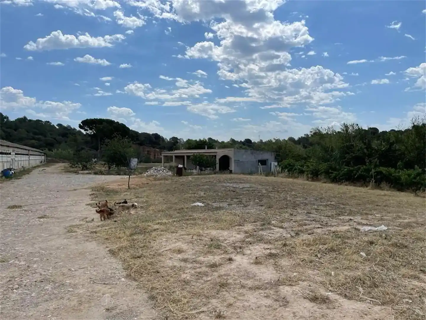 Finca rústica en venda en Piera