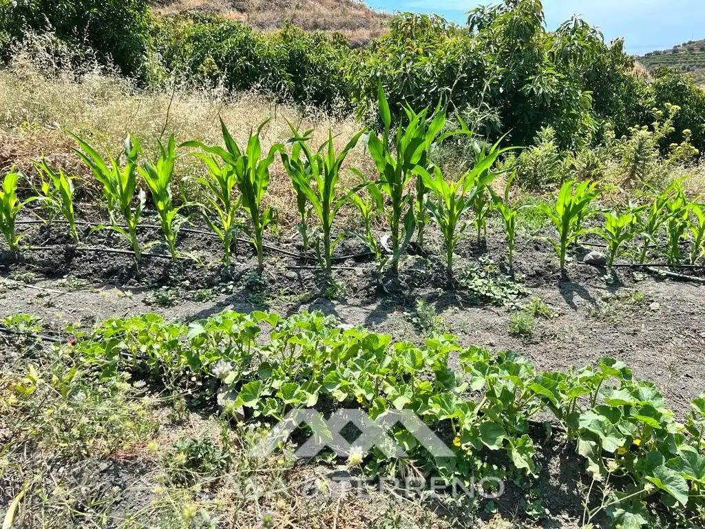 Residential for sale in Torrox