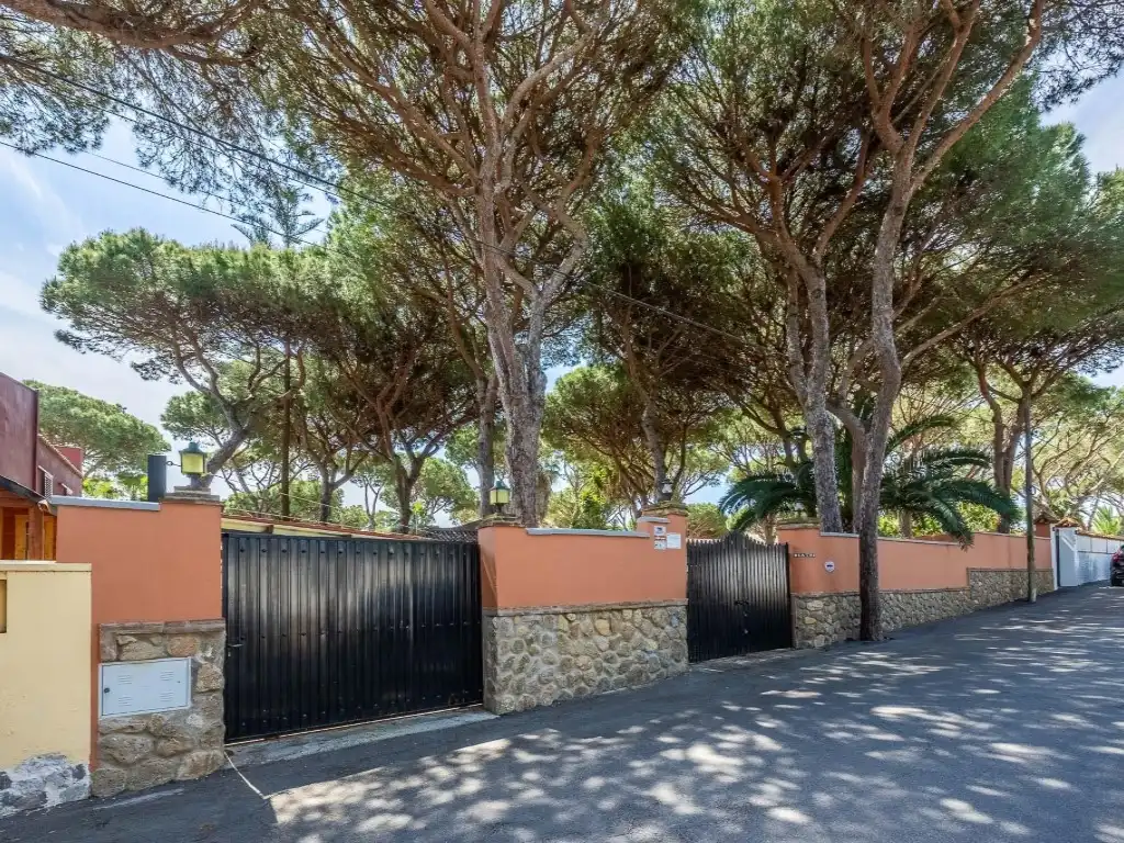 Vista exterior de Casa o xalet en venda en Chiclana de la Frontera amb Aire condicionat, Calefacció i Jardí privat