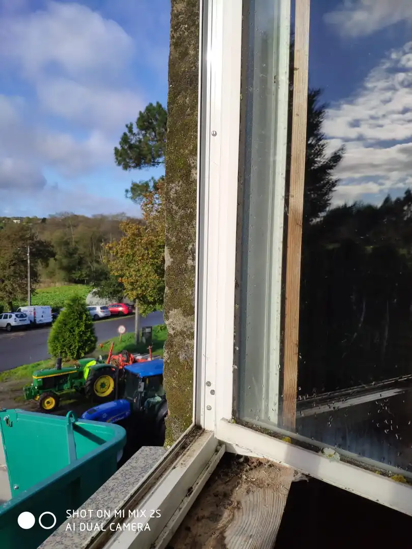Vista exterior de Casa o chalet en venta en Cerceda con Jardín privado