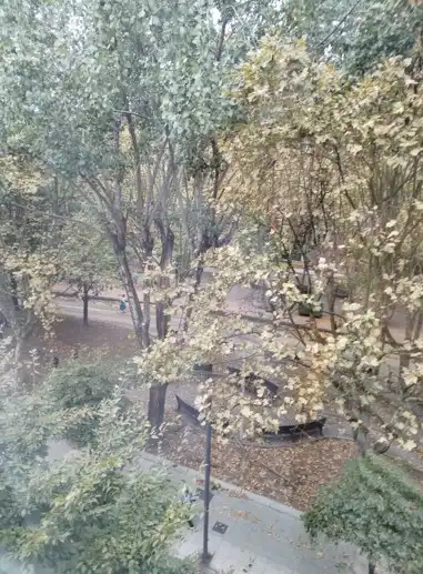 Vista exterior de Apartament de lloguer en Oeste
