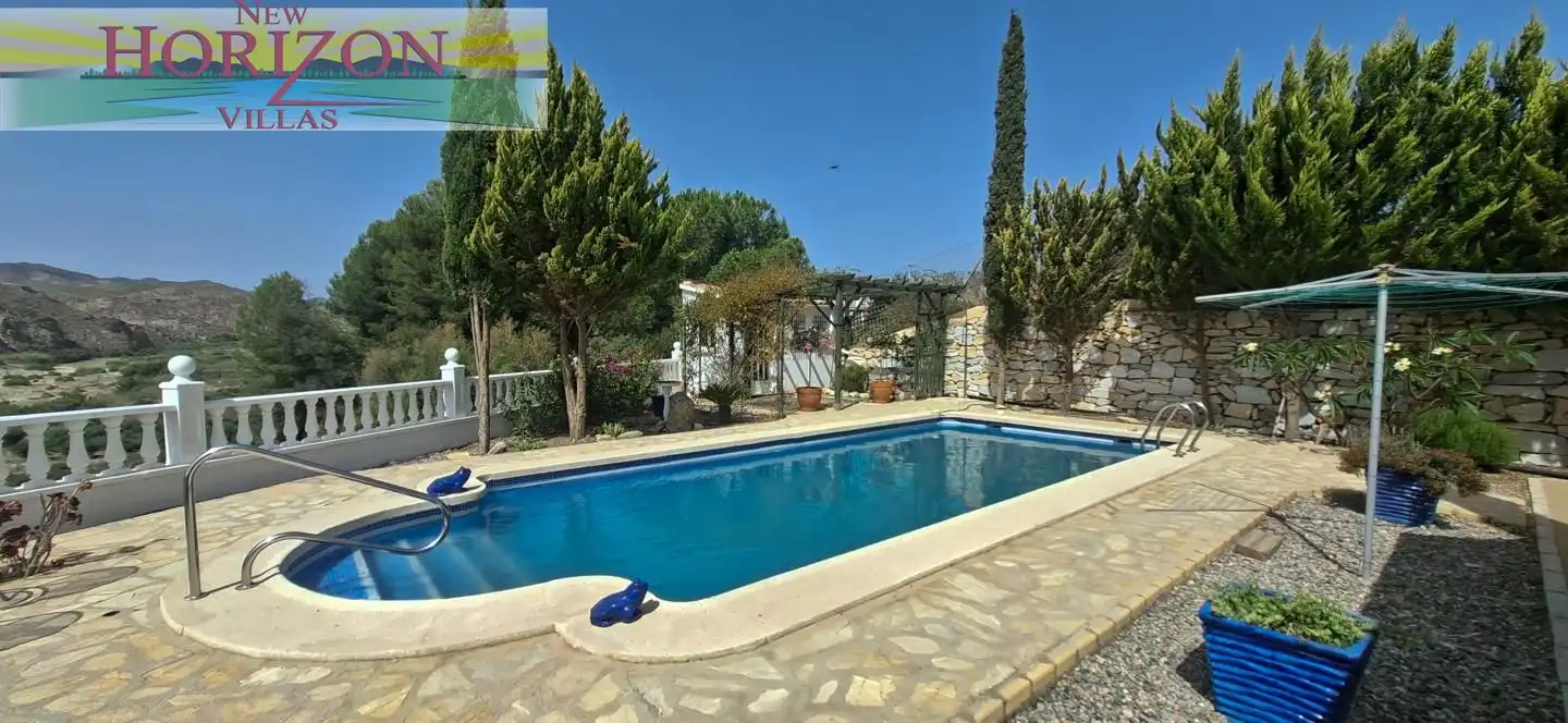 Piscina de Casa o xalet en venda en Arboleas amb Jardí privat, Terrassa i Piscina