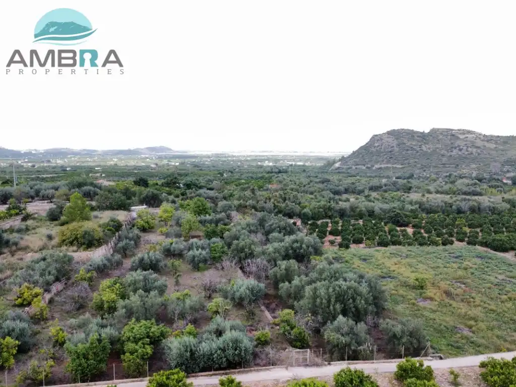 Rural land for sale in Pego, imagen 9