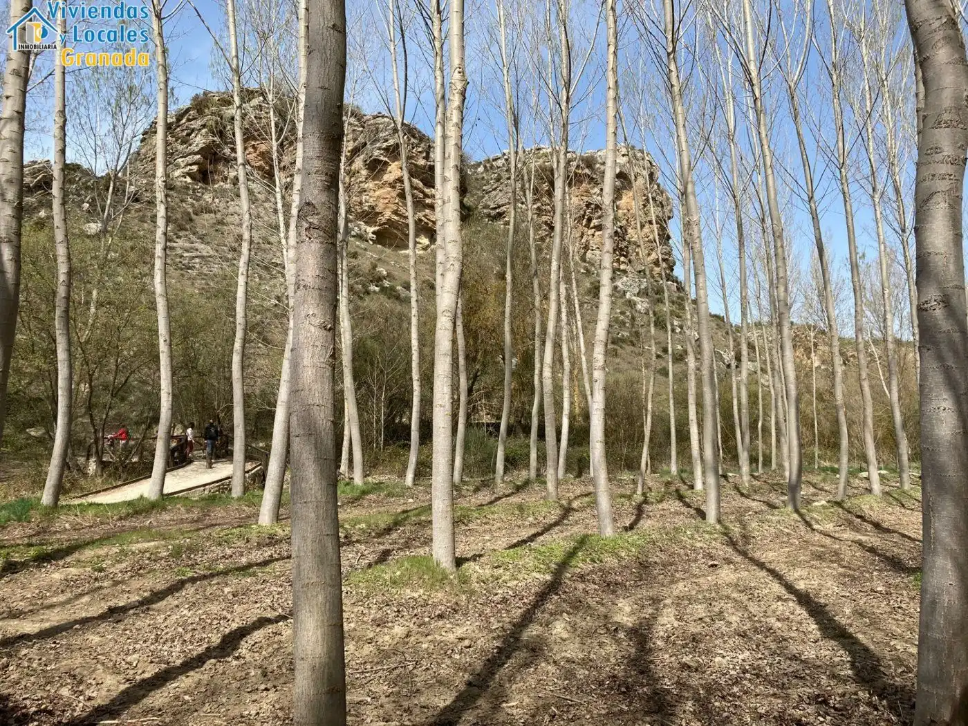 Terreni e lotti in vendita a Alhama de Granada, imagen 36