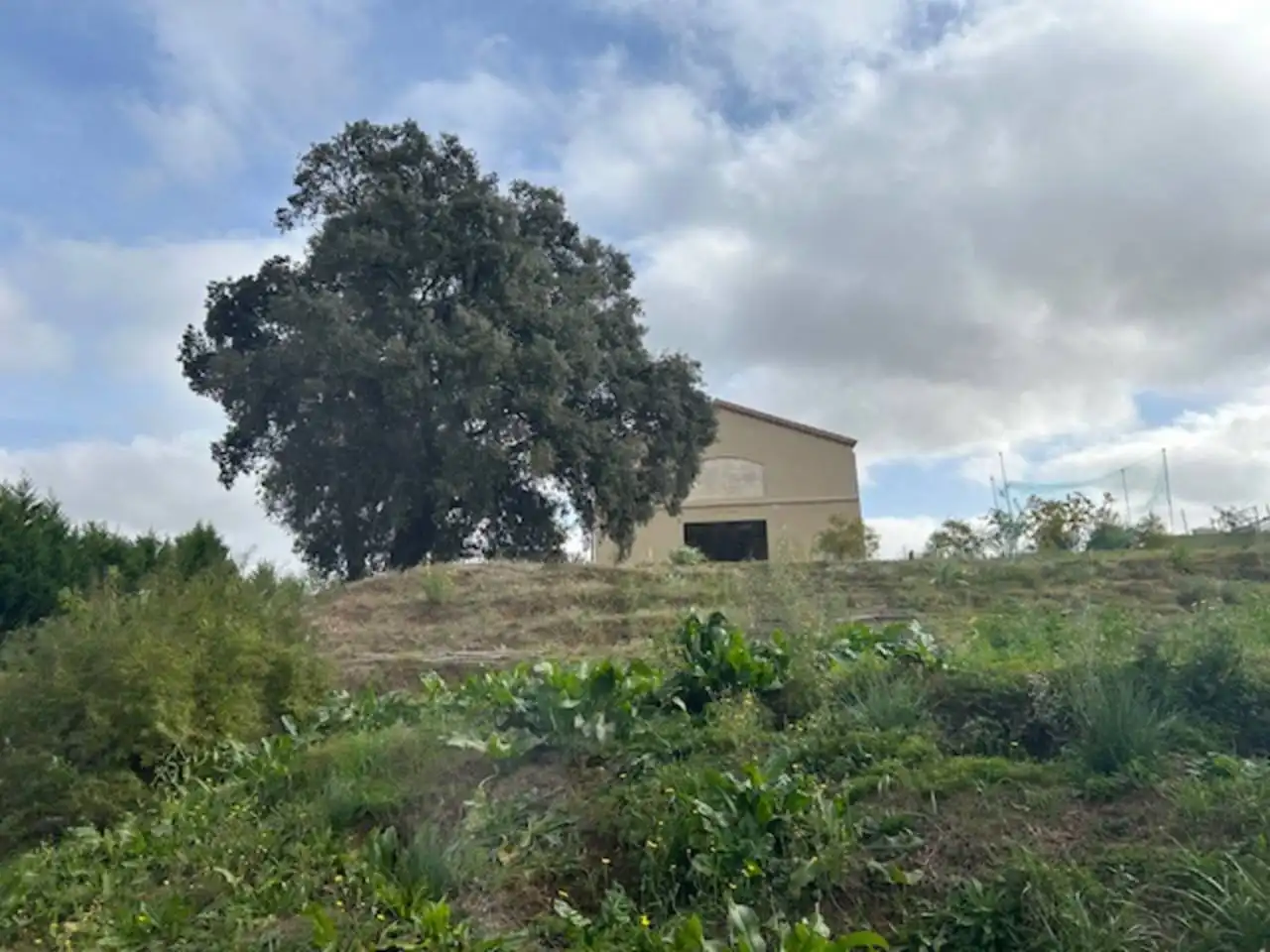 Country homes for sale in Carretera Rellinars, Poble Nou