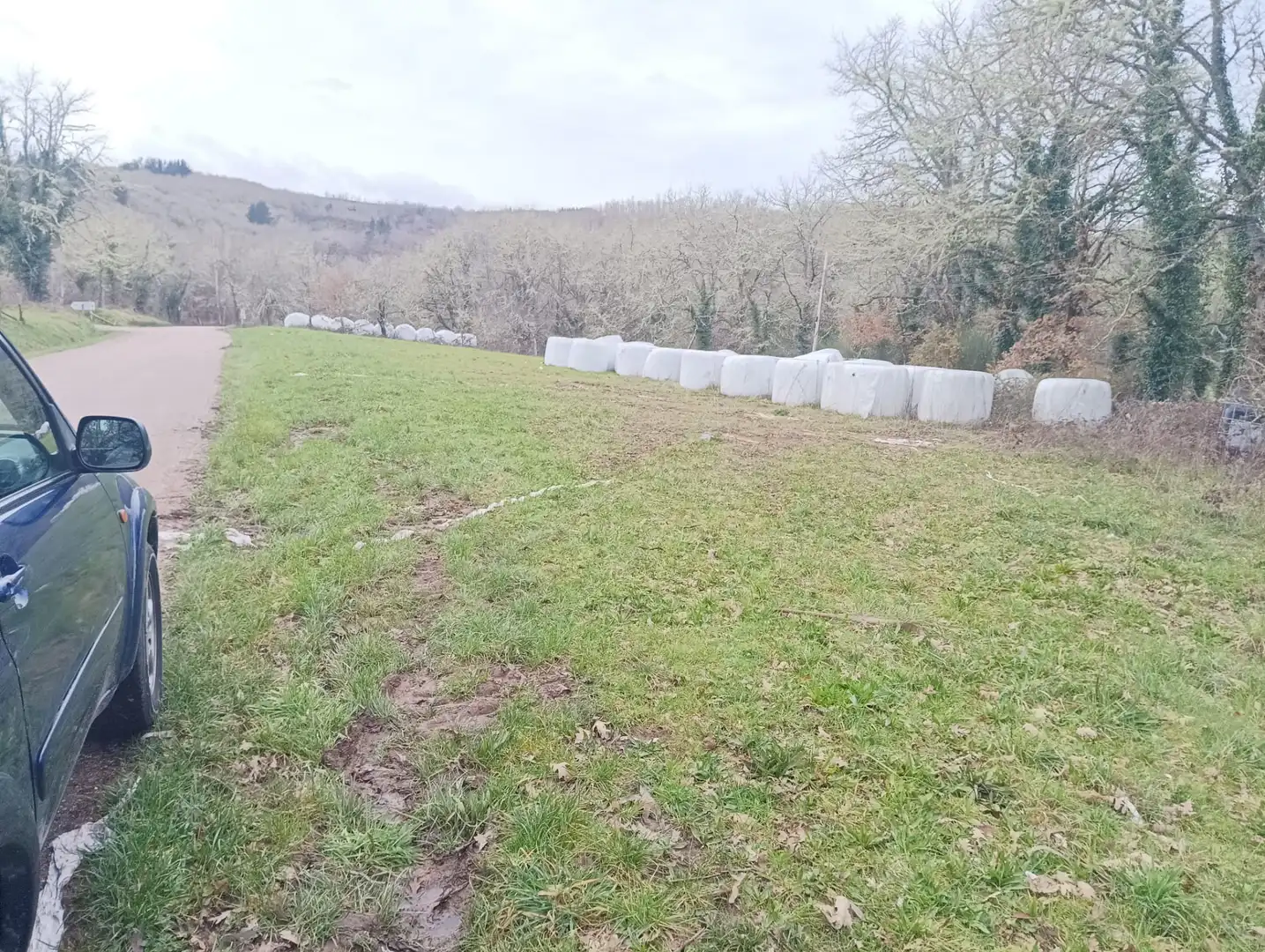 Finca rústica en venta en Becerreá