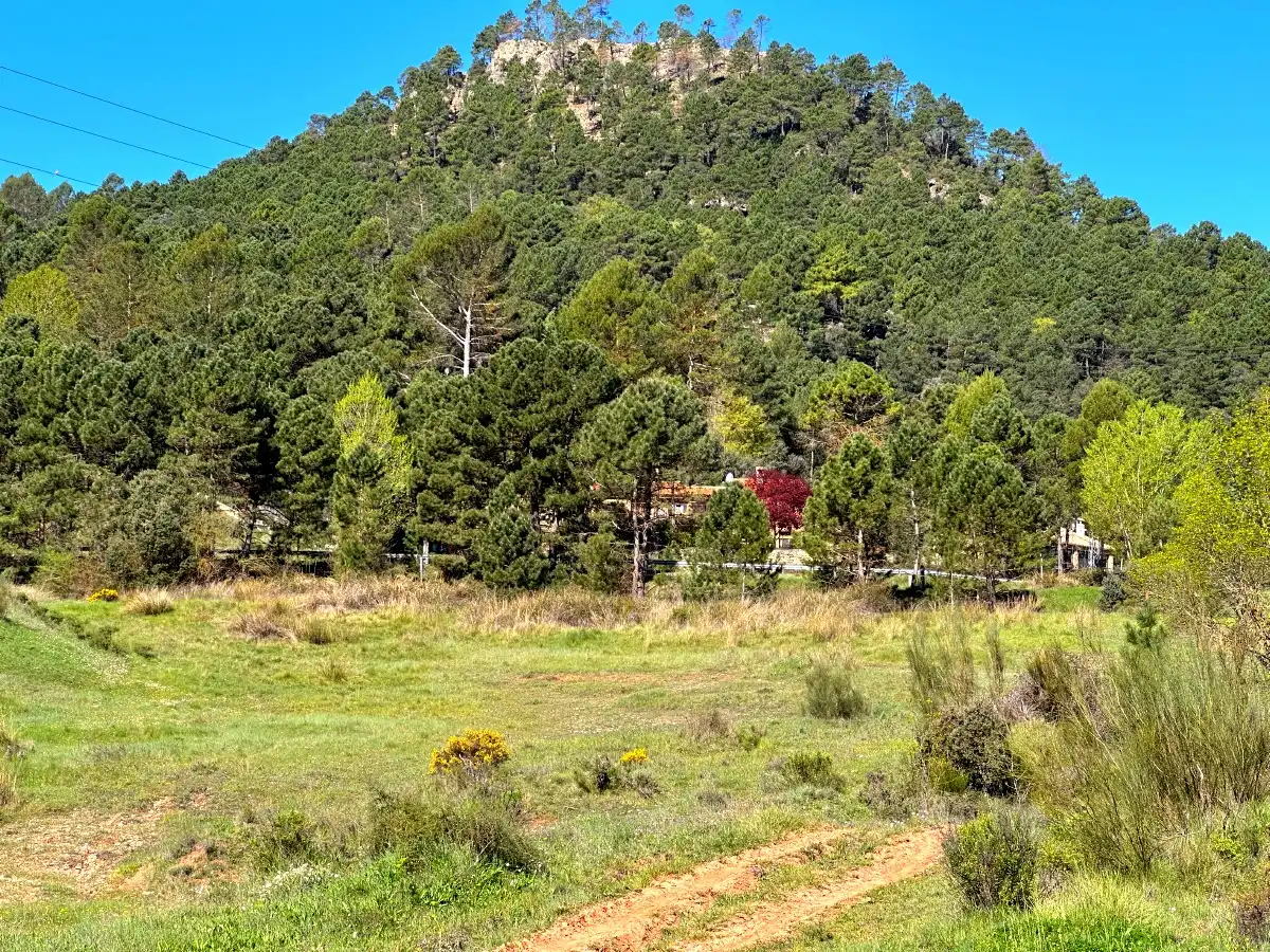 Casa rústica amb jardí en venda a Riópar, imagen 34