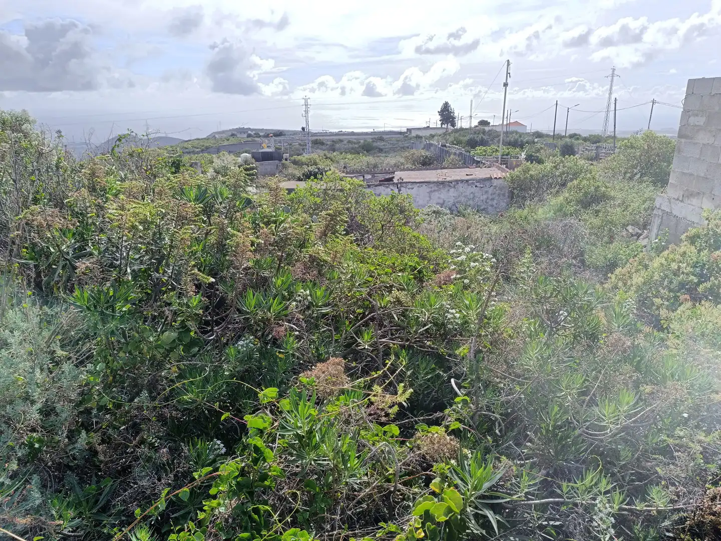 Residential land for sale in GC-100 96, imagen 19