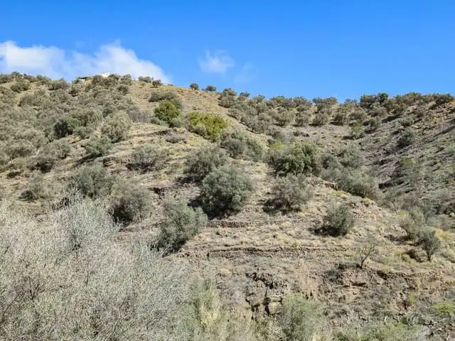 Terreni e lotti in vendita a Torrox Pueblo, imagen 2