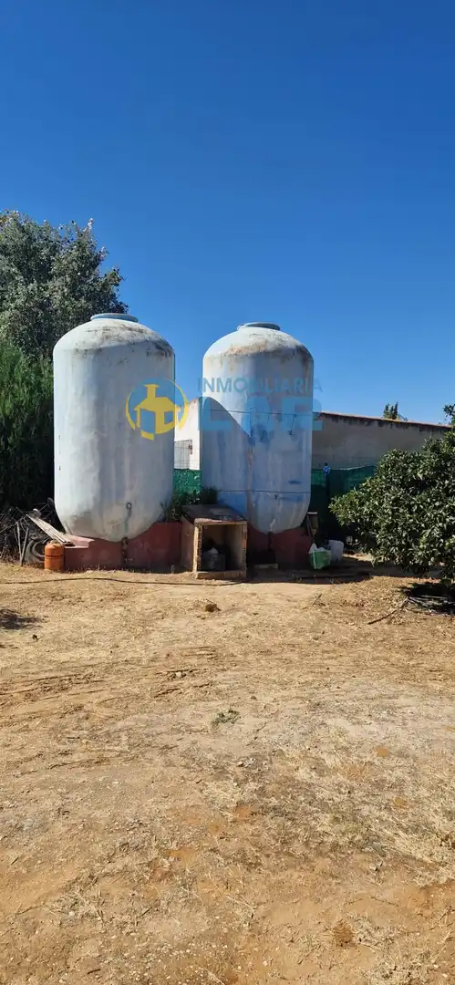 Finca rústica en venda en Niebla