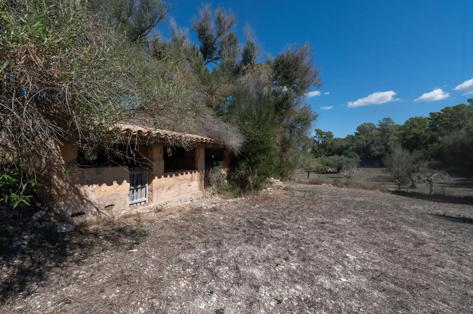 Casa rustica con terrazza in vendita a Sineu, imagen 58