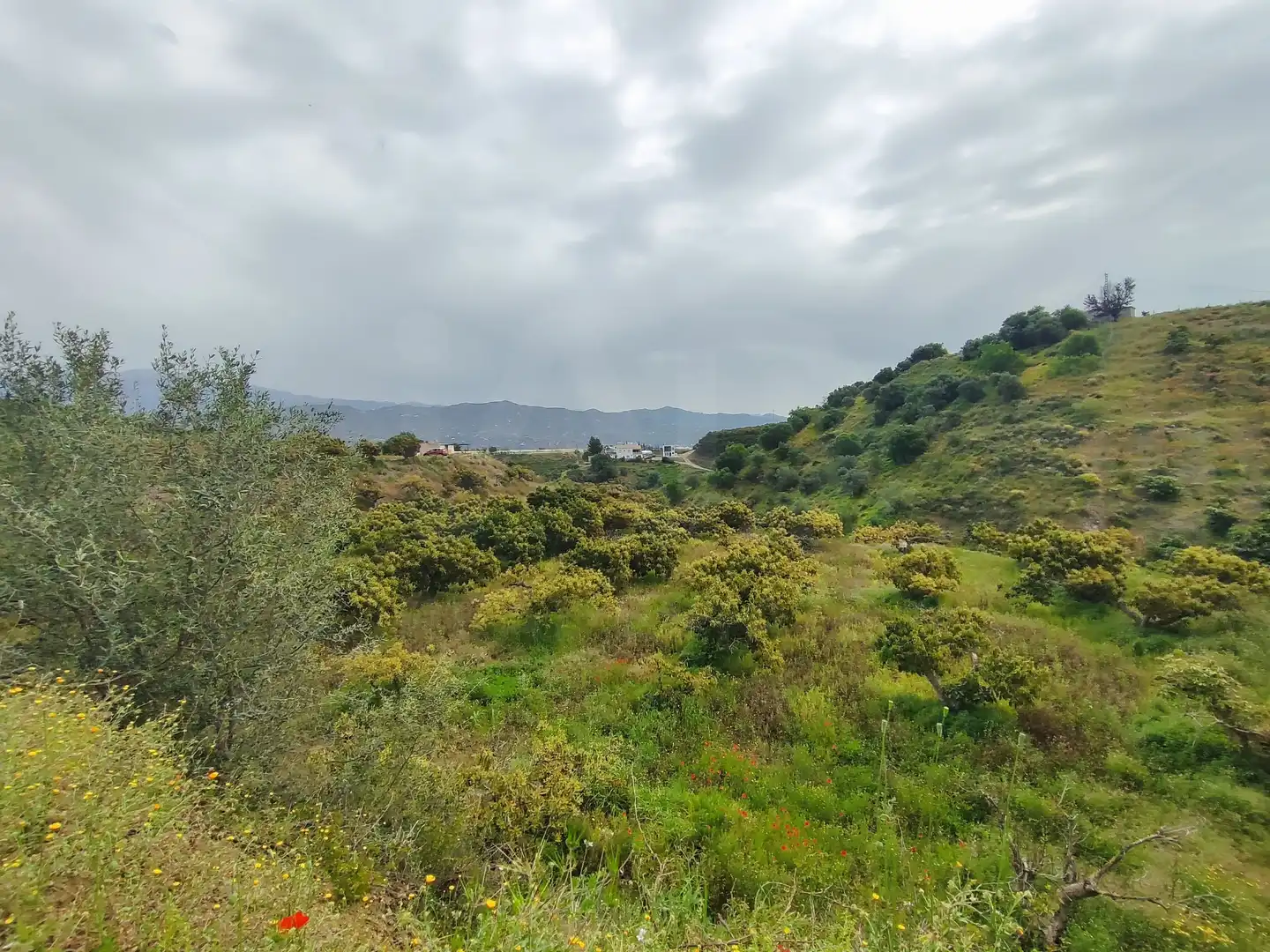 Terreny rústic en venda a Vélez-Málaga ciudad, imagen 29