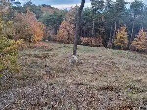 Residential land for sale in Carrer de l'Estany 408, imagen 10