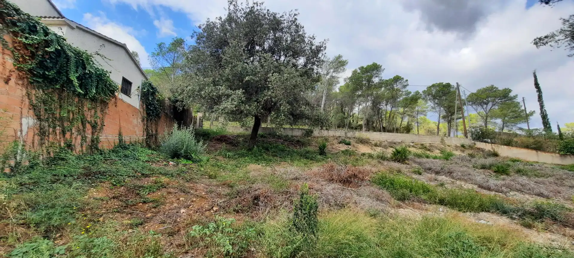 Residencial en venta en Olivella