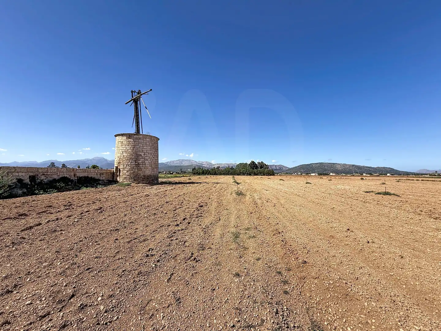 Terrain rustique à vendre à Sa Pobla, imagen 6