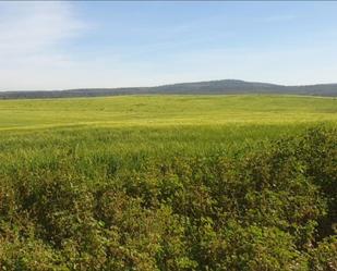 Residencial en venda a Villafranca de los Barros