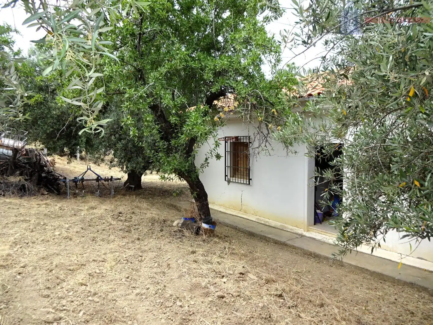 Finca rústica en venda en Pinos Genil