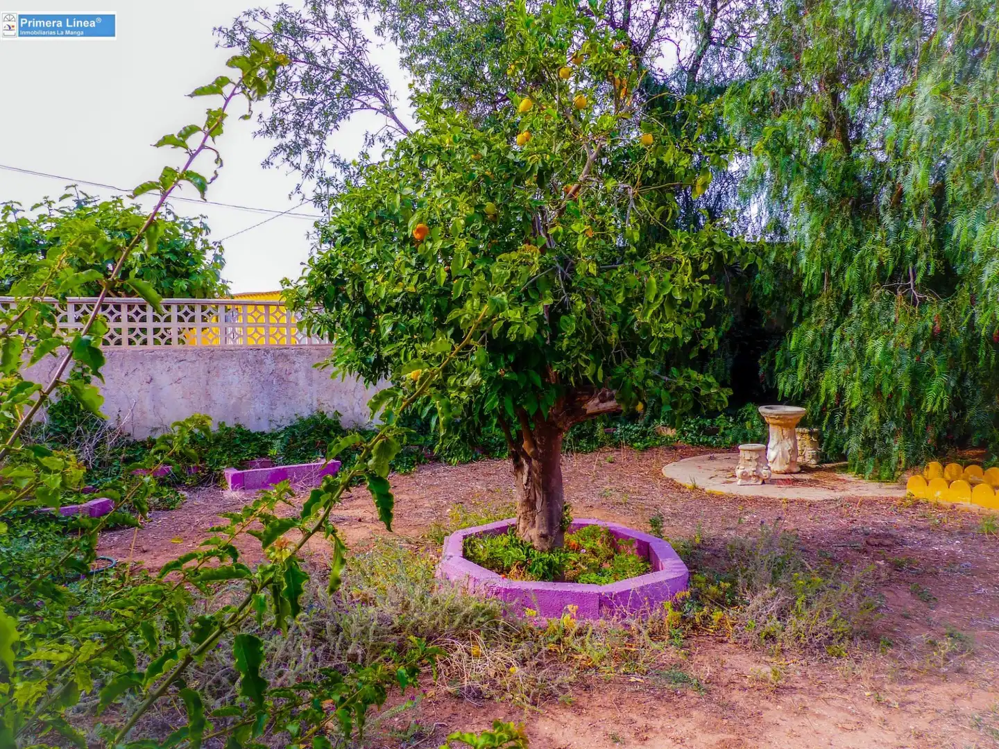 Jardí de Finca rústica en venda en Fuente Álamo de Murcia amb Calefacció, Jardí privat i Terrassa